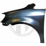 Diederichs Kotflügel links