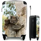 MuchoWow Handgepäckkoffer Koalas - Kind - Baum - Kinder - Junge - Mädchen, 4 Rollen, Reisetasche mit rollen, Handgepäck für Ferien, Trolley, Reisekoffer bunt