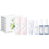 Goldwell Kerasilk Geschenkset Travel Ecom