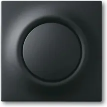 Busch-Jaeger Zentralscheibe schwarz