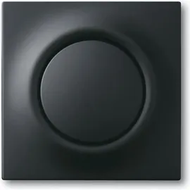 Busch-Jaeger Zentralscheibe schwarz