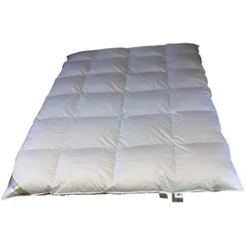 Betten Hofmann Premium 6cm Winter Hochsteg Kassetten Daunendecke 4x6 155x220 cm 100% Daunen - Weiß