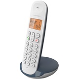 Logicom ILOA 150 Schnurloses Festnetztelefon ohne Anrufbeantworter – Solo – analoge und dect-Telefone – Schiefer