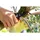 Stocker Gartenschere 20