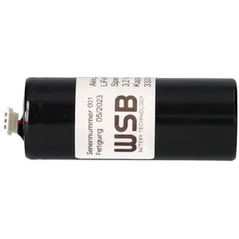 Akkuman Akku LiFePO4 3,2V 3300 mAh 1 St.