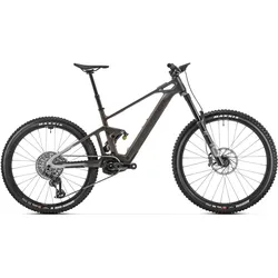 Dune RR - bronze