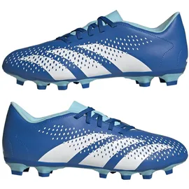 adidas Predator Accuracy.4 FG Herren Bright Royal/FTWR White 42 2/3