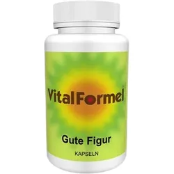 Vital Formel Gute Figur, 120 Kapseln