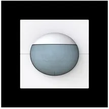 Busch-Jaeger Busch-Wächter 180 flex 62764-44G-WL