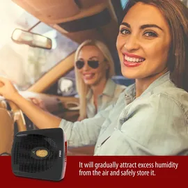 Pingi Luftentfeuchter Pkw