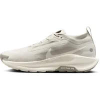 Nike Herren Pegasus Trail 5 GTX grau 49.5