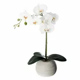 Atmosphera Créateur d'intérieur Kunstblume Orchidee in mehrfarben | Gr.: onesize
