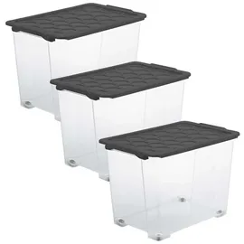 Rotho Aufbewahrungsbox Evo Safe Keeping 65 l 3-tlg. grau
