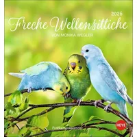 Heye / heye kalender Freche Wellensittiche Postkartenkalender 2026