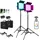 walimex pro LED Rainbow 100W RGBWW Set 4 (2x Rainbow 100W, 2x Lampenstativ GN-806, 2x V-Mount Akku... ..., Hintergrundsystem