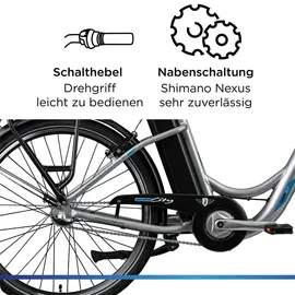 Zündapp Green 2.7 2021 26 Zoll RH 46 cm Damen grau