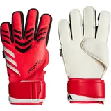 adidas Predator Match Fingersave Torwarthandschuhe Pure Ruby / Lucid Red / Black - 7