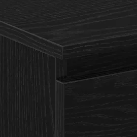 vidaXL Nachttisch 2 Stk Schwarz Eichen-Optik 30 x 30 x 40 cm