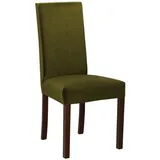 MIRJAN24 Stuhl Roma II (1 Stück), aus Buchenholz, 46x41x97 cm grün