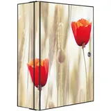 Banjado XXL Medizinschrank Abschliessbar 35x46x15cm Arzneischrank Anthrazit Aus Metall Mit Motiv Klatschmohn
