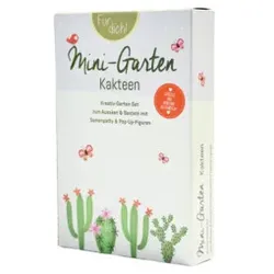 WUNDERLE Mini-Garten Kakteen 63665 15,5x10,5x 3,5cm