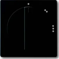 Busch-Jaeger Zentralscheibe sw mt 2542 DR/02-885