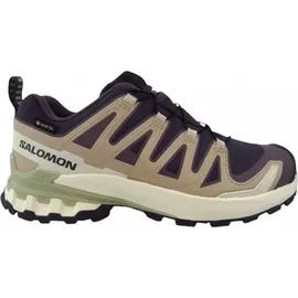 Salomon XA Pro 3D V9 GTX Schuhe (Größe 38.5 - grau)