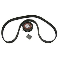 DAYCO KBIO14 DAYCO BIO VERTEILUNGSKIT