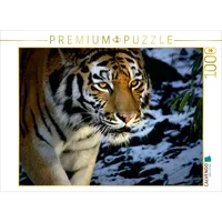 Calvendo Ein Motiv aus dem Kalender Tiger - die