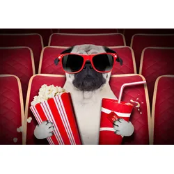 Fototapete PAPERMOON "Hund im Kino", bunt, B:3,00m L:2,23m, Vlies, Tapeten