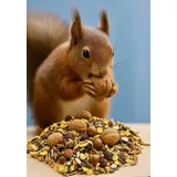25 kg Artgerechtes Eichhörnchenfutter Ganzjahresfutter Premium Mix mit Walnüssen, Haselnüssen, Sonnenblumenkernen und Mehlwürmer Nager Nagerfutter