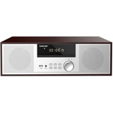 Jahrgang Micro HiFi-System CD-Stereoanlage Mini-Komponente 40W RMS CD-Player UKW/Bluetooth-kompatibel/USB/AUX/Fernbedienung/Kopfhörerbuchse Kompatibel mit hochauflösender Klangquelle,Silber,hölzern