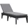 vidaXL Sonnenliege 186 x 60 x 29 cm Anthrazit