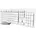 ODY WL