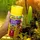 JBL Pronovo Color Grano M 250 ml