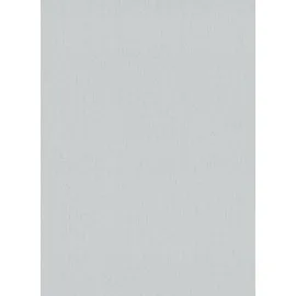 Erismann Vliestapete Uni Hellgrau 53 cm x 10 m 300 g Grau 10072-31