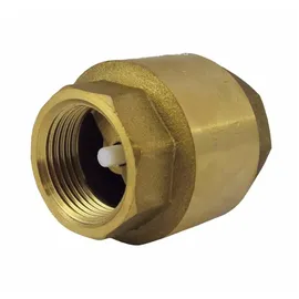 boni-shop Rückschlagventil 1 1/2