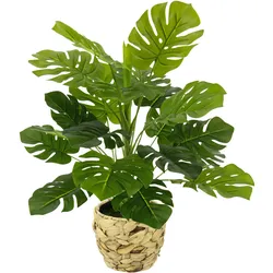 I.GE.A. Kunstpflanze »Monstera«, Mit Übertopf künstlicheSplitphilo-Pflanze I.GE.A. grün