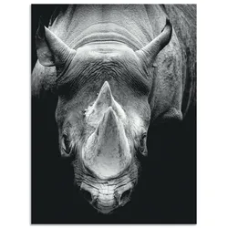 Artland Alu-Dibond-Druck »Das Nashorn«, Wildtiere, (1 St.), für Innen- und Außenbereich geeignet, Outdoorbild Artland Farbe Bild(er): schwarz