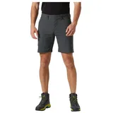 HELLY HANSEN Holmen 5 Pocket Short Grau 38