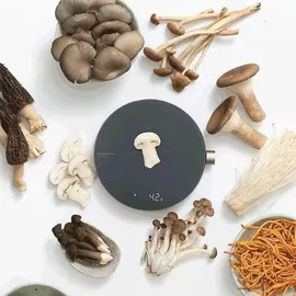 Xiaomi HOTO QWCFC001 Bluetooth Smart Kitchen Scale