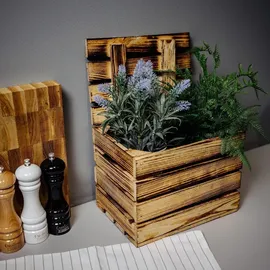 Creative Deco Holzkiste 27 x 20 x 21 cm 1-tlg. braun
