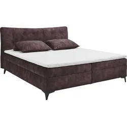 Boxbett ED EXCITING DESIGN "Melrose", lila (aubergine), B:182cm L:210cm, 100% Polyester, Komplettbetten, Boxspringbett, inkl. Topper