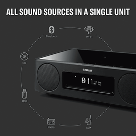 Yamaha MusicCast 200 Streaming Lautsprecher, Bluetooth, Schwarz
