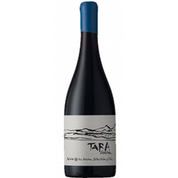 Red Wine N°1 2021 - Pinot Noir - Tara