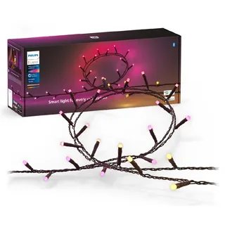 Philips Hue Festavia Lichterkette 40 m 500 Mini-LEDs dimmbar