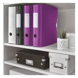 Leitz Ordner Active WOW A4 80 mm