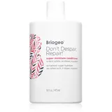 Briogeo Don't Despair, Repair! feuchtigkeitsspendender Conditioner für das Haar 473 ml
