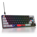 SOLIDEE mechanische Gaming Tastatur 65 Prozent,68 Tasten kompakte mechanische Tastatur RGB Hintergrundbeleuchtung,65 Prozent Tastatur mechanisch QWERTY,Roter Schalter für Win/Mac PC Laptop(68 Dark)