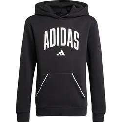 Adidas Seasonals Essentials Collegiate Typography Hoodie Kinder - schwarz 140